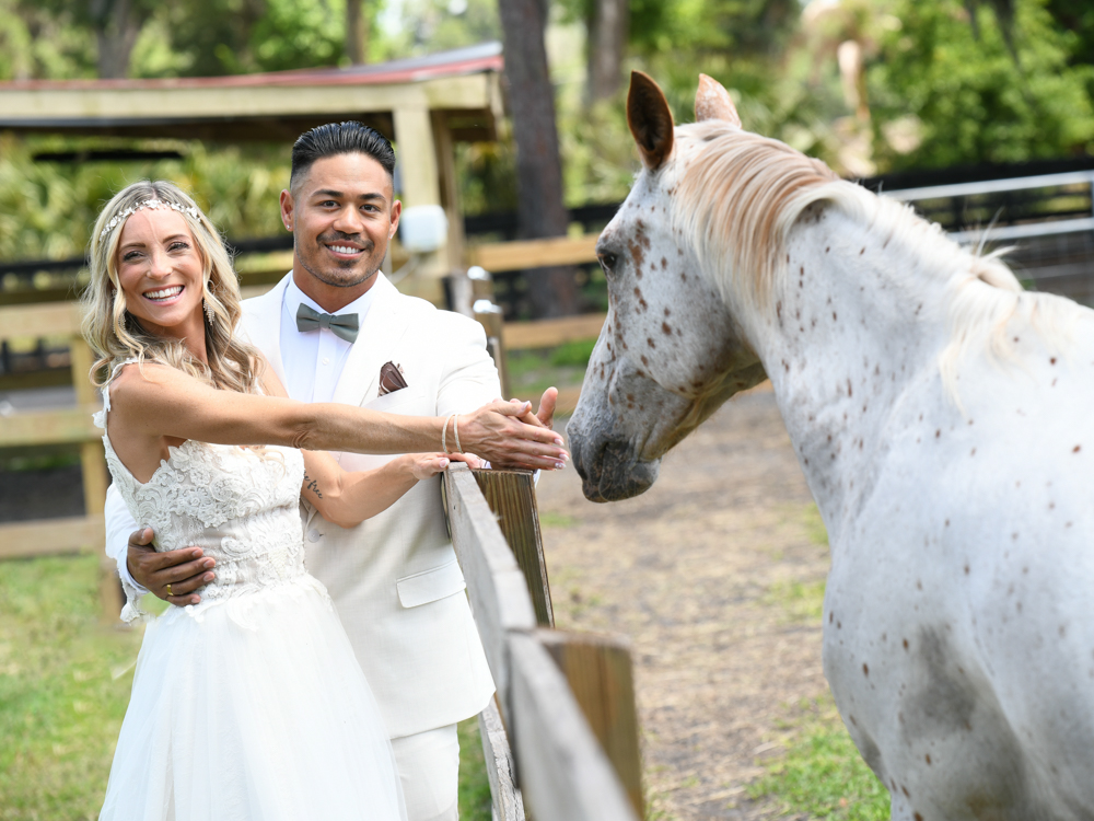 animals at The Wedding Retreat