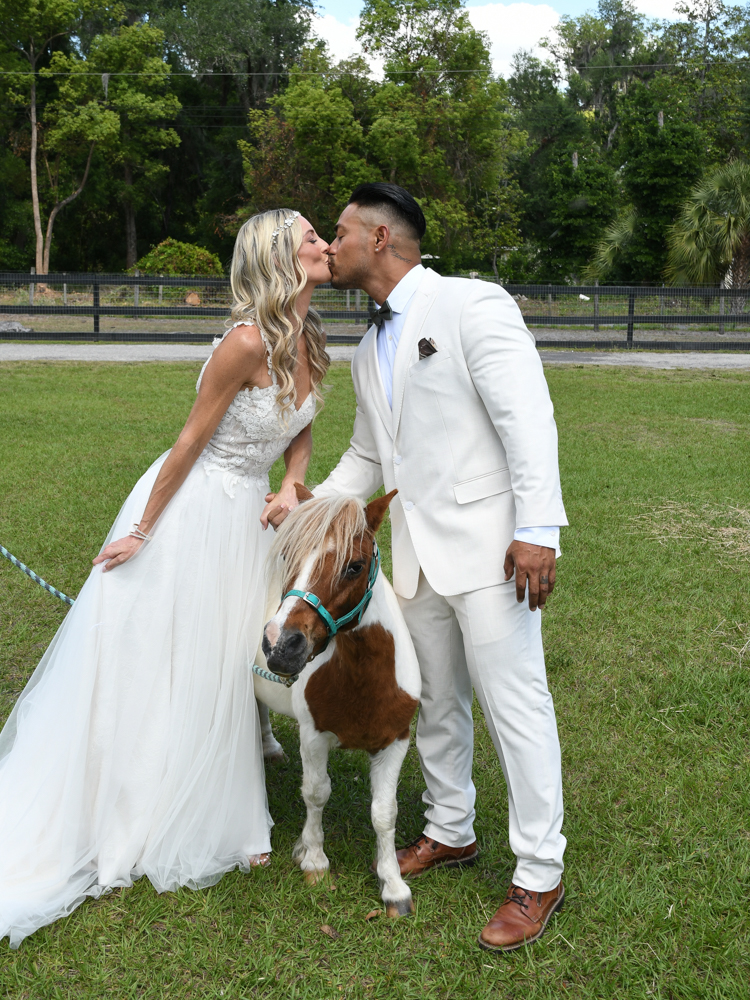 animals at The Wedding Retreat