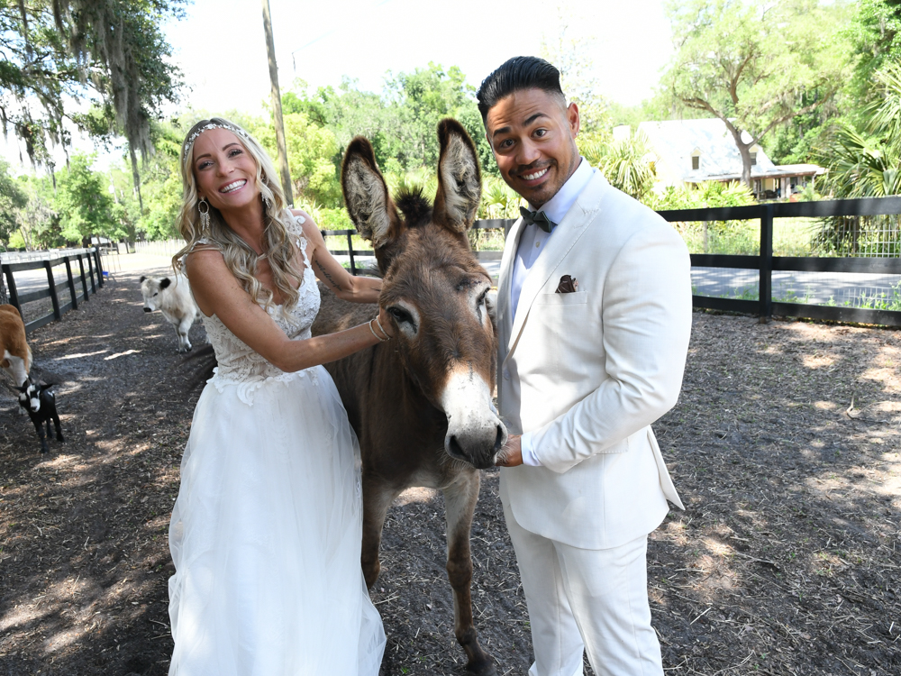 animals at The Wedding Retreat