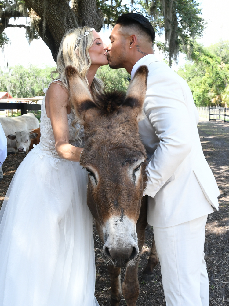 animals at The Wedding Retreat
