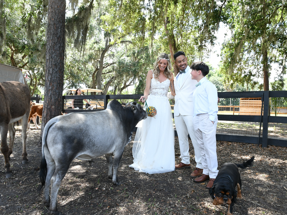 animals at The Wedding Retreat