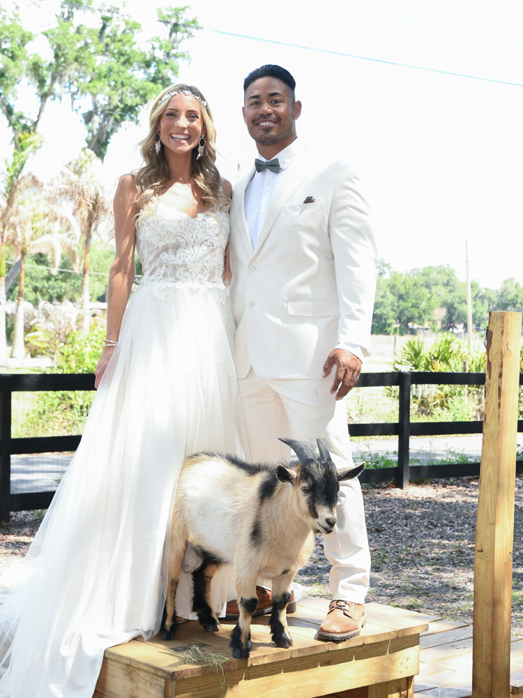 animals at The Wedding Retreat