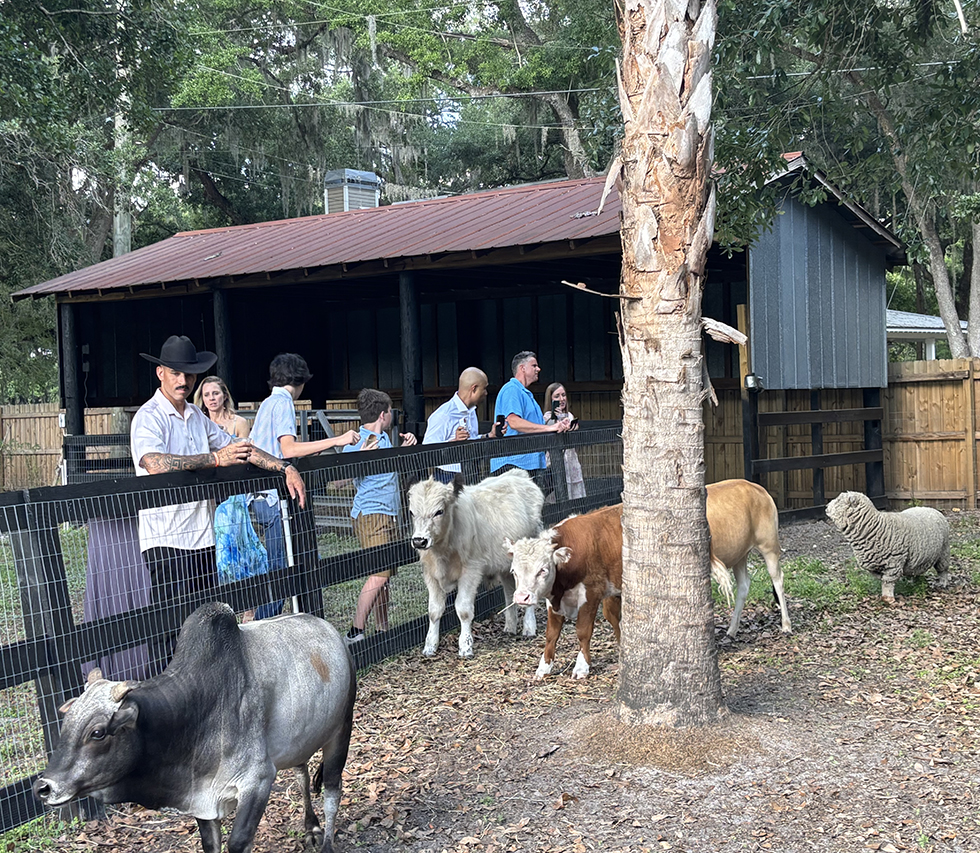 farm-animals-1